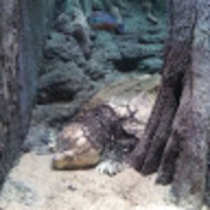 Meet your Posher, Raquel